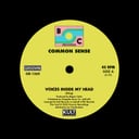 Voices Inside My Head