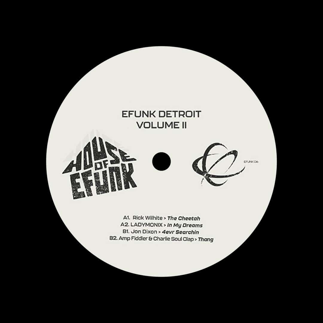 Amp Fiddler, Jon Dixon, LadyMonix, Rick Wilhite - EFunk Detroit, Vol. 2 - 12