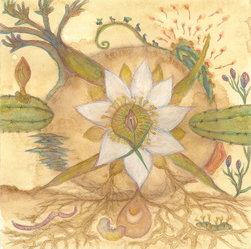 Joaquin Cornejo, Markandeya - Vision Versions - 12