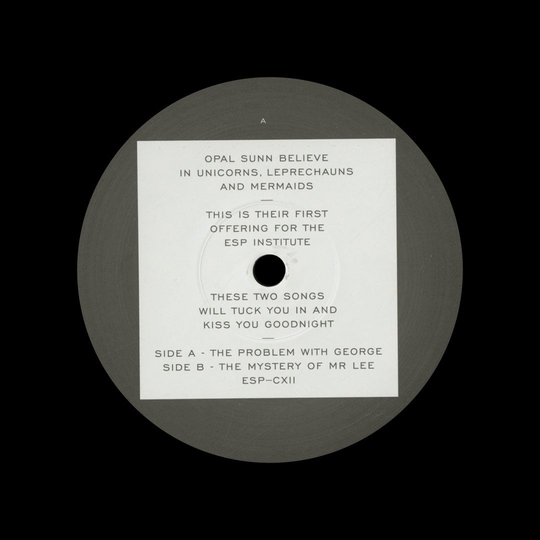 Opal Sunn - The Problem With George - 12