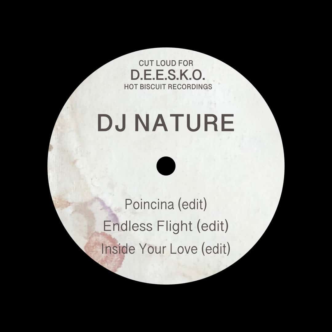 DJ Nature - Poincina / Endless Flight / Inside Your Love - 12