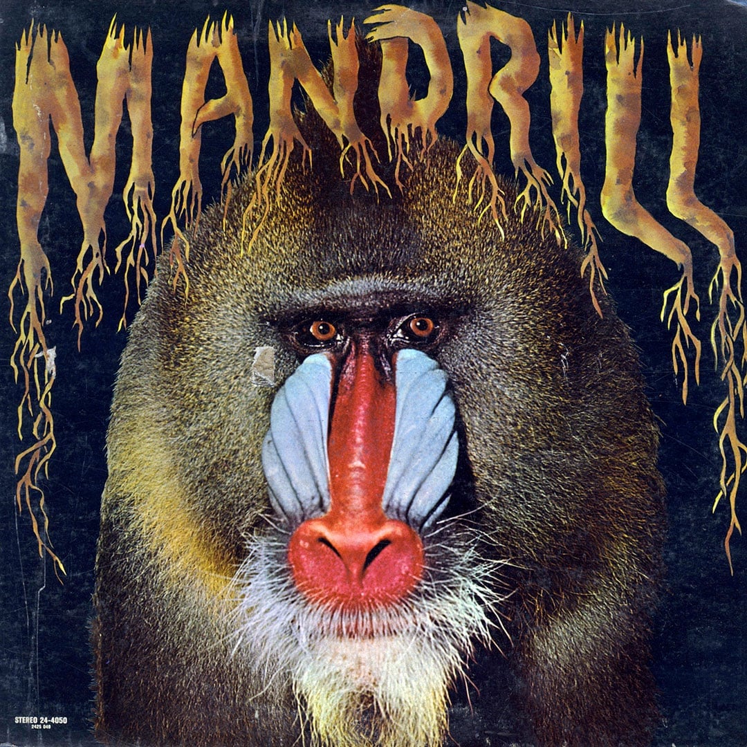 Mandrill - Mandrill - lp