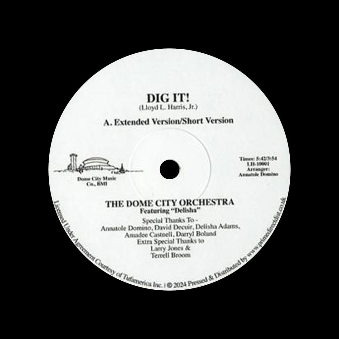 Dome City Orchestra - Dig It - 12