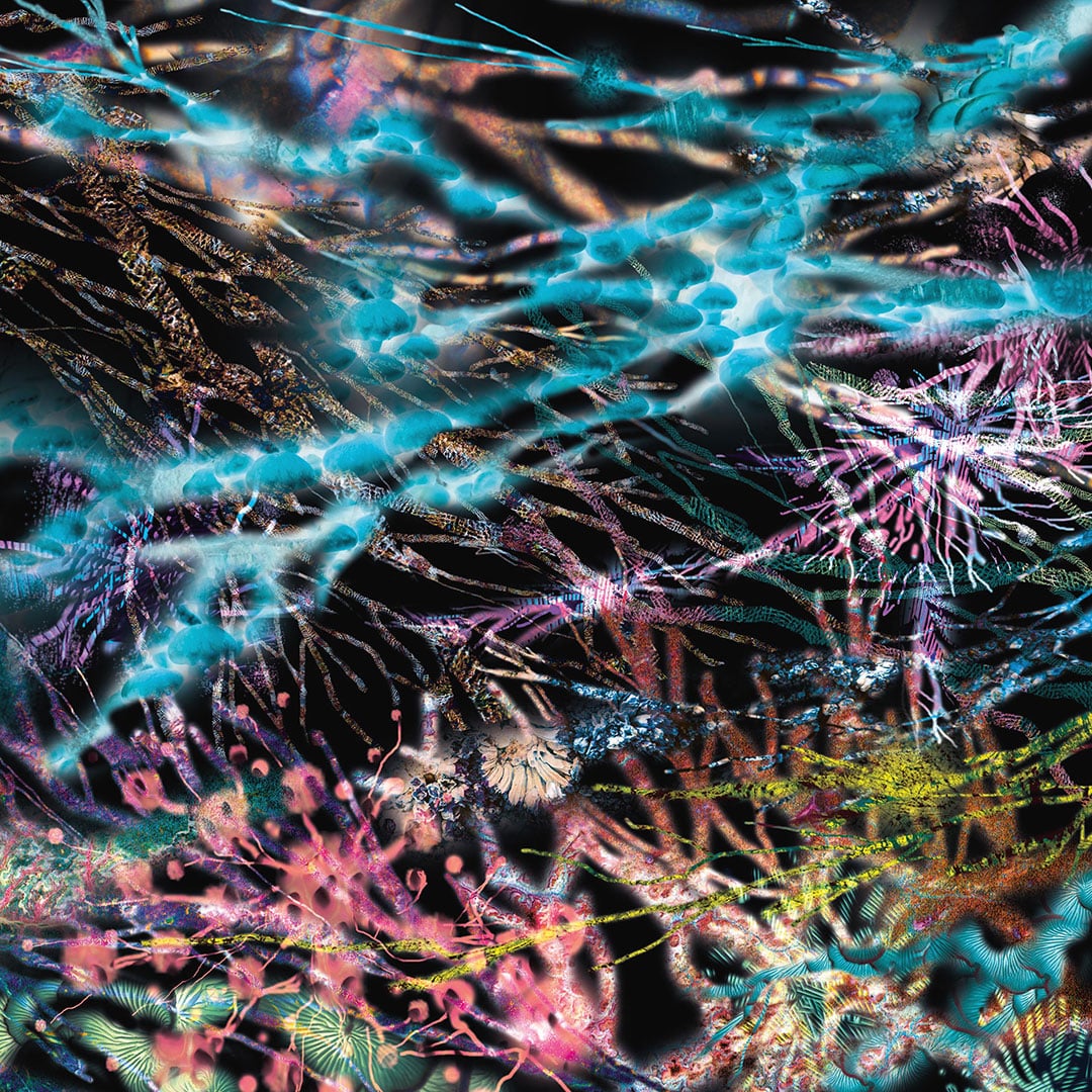 Likwid Continual Space Motion - The Remedy - 3xlp