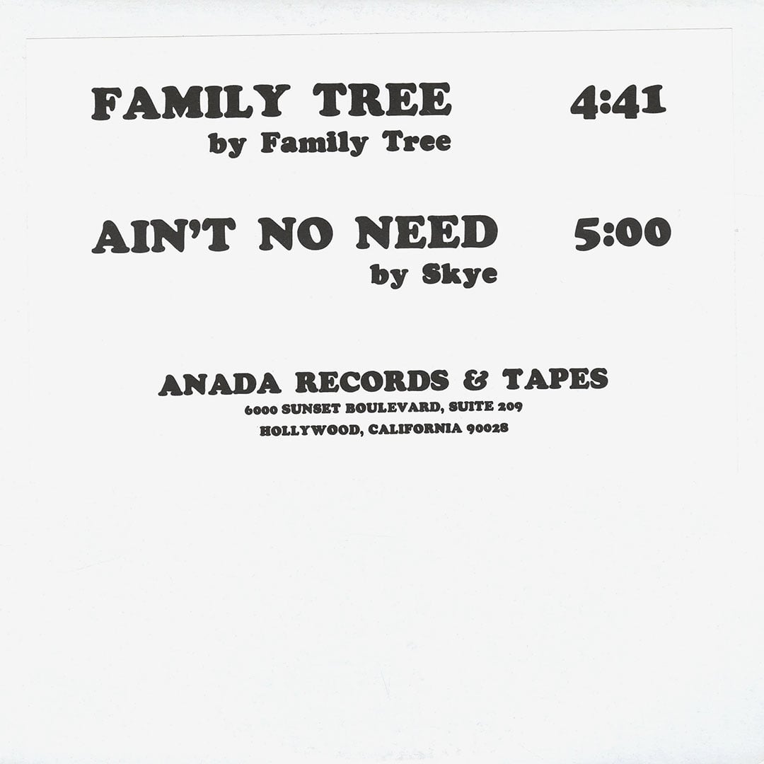 The Family Tree, Skye - Family Tree / Ain’t No Need - 12