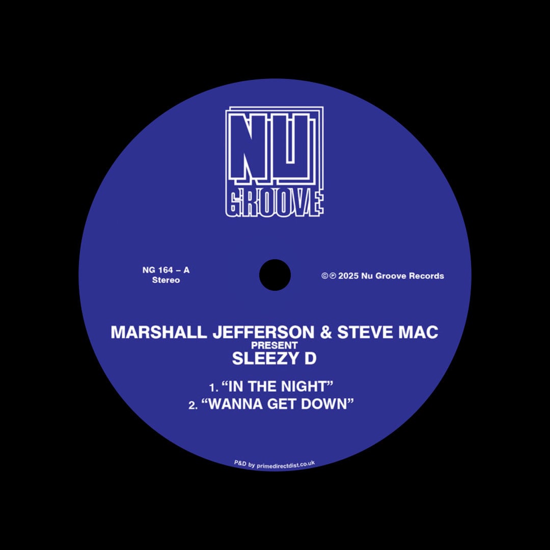 Juliet Mendoza, Marshall Jefferson, Steve Mac - NG164 In The Night - 12