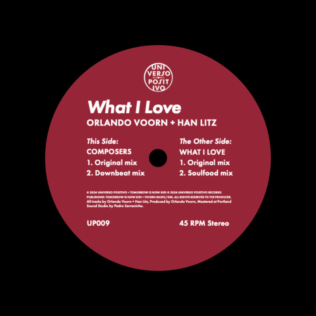 Han Litz, Orlando Voorn - What I Love - 12