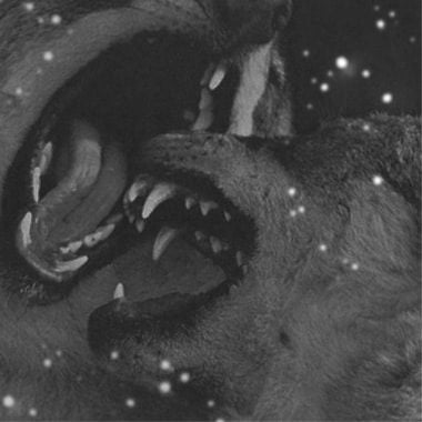 Complex Not Complicated