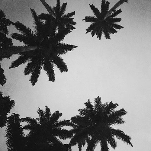 Remember To Remember