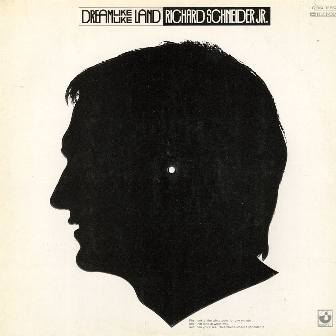 Richard Schneider Jr - Dreamlike Land