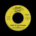 Dance Of The Dolphins