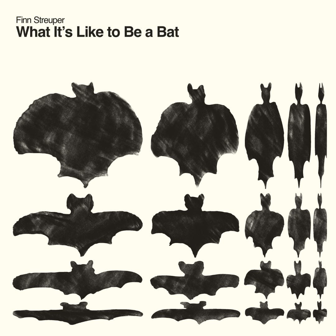 Finn Streuper - What It’s Like to be a Bat - lp