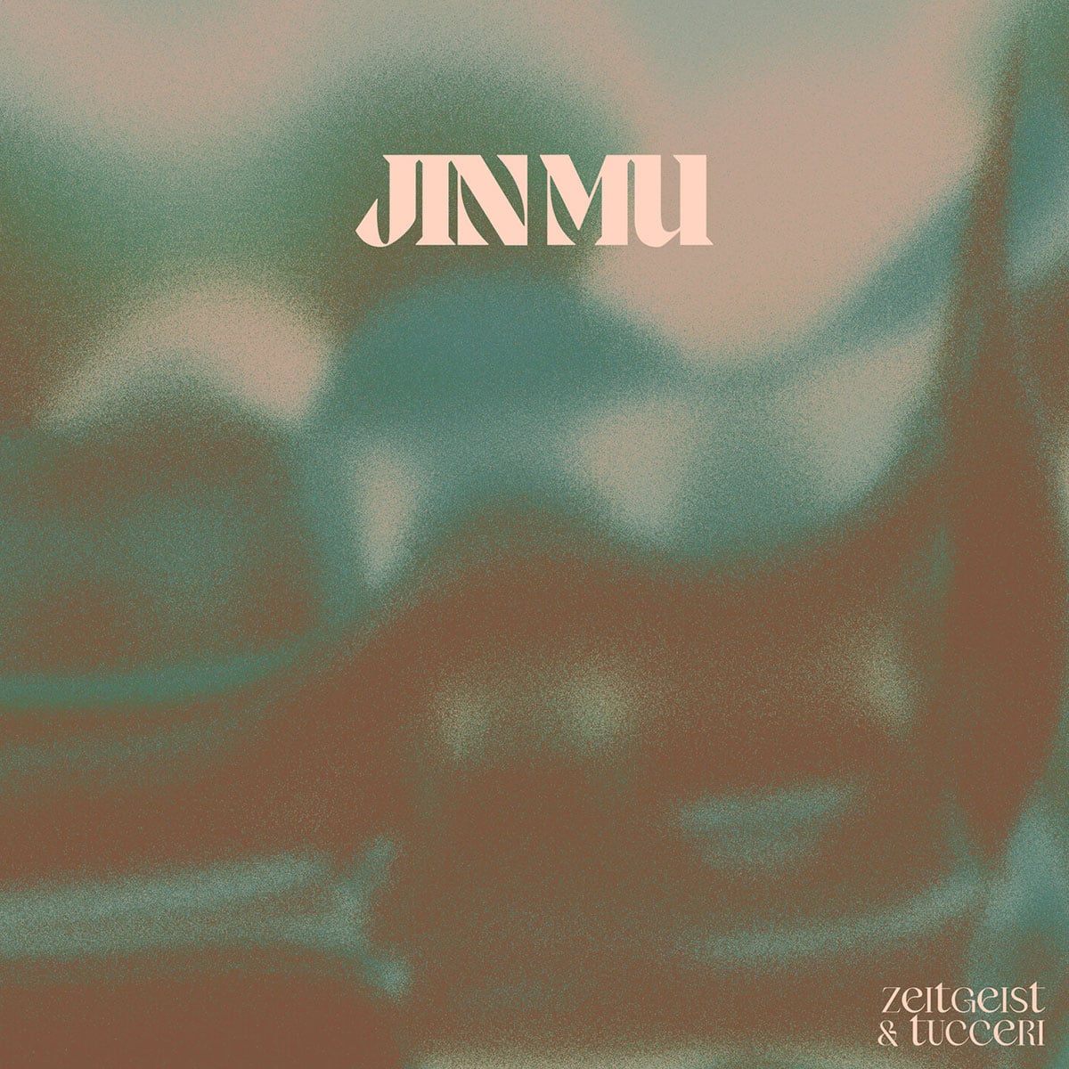 Erica Tucceri, Ziggy Zeitgeist - Jin Mu - lp