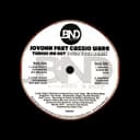 Turnin Me Out (Louie Vega instrumental)