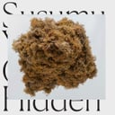 Incantation Of The Stars