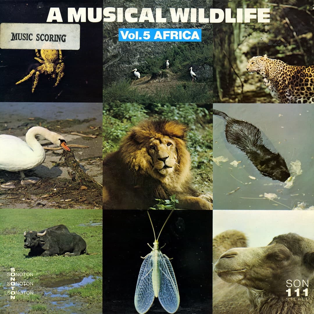 A Musical Wildelife, Vol. 5 Africa