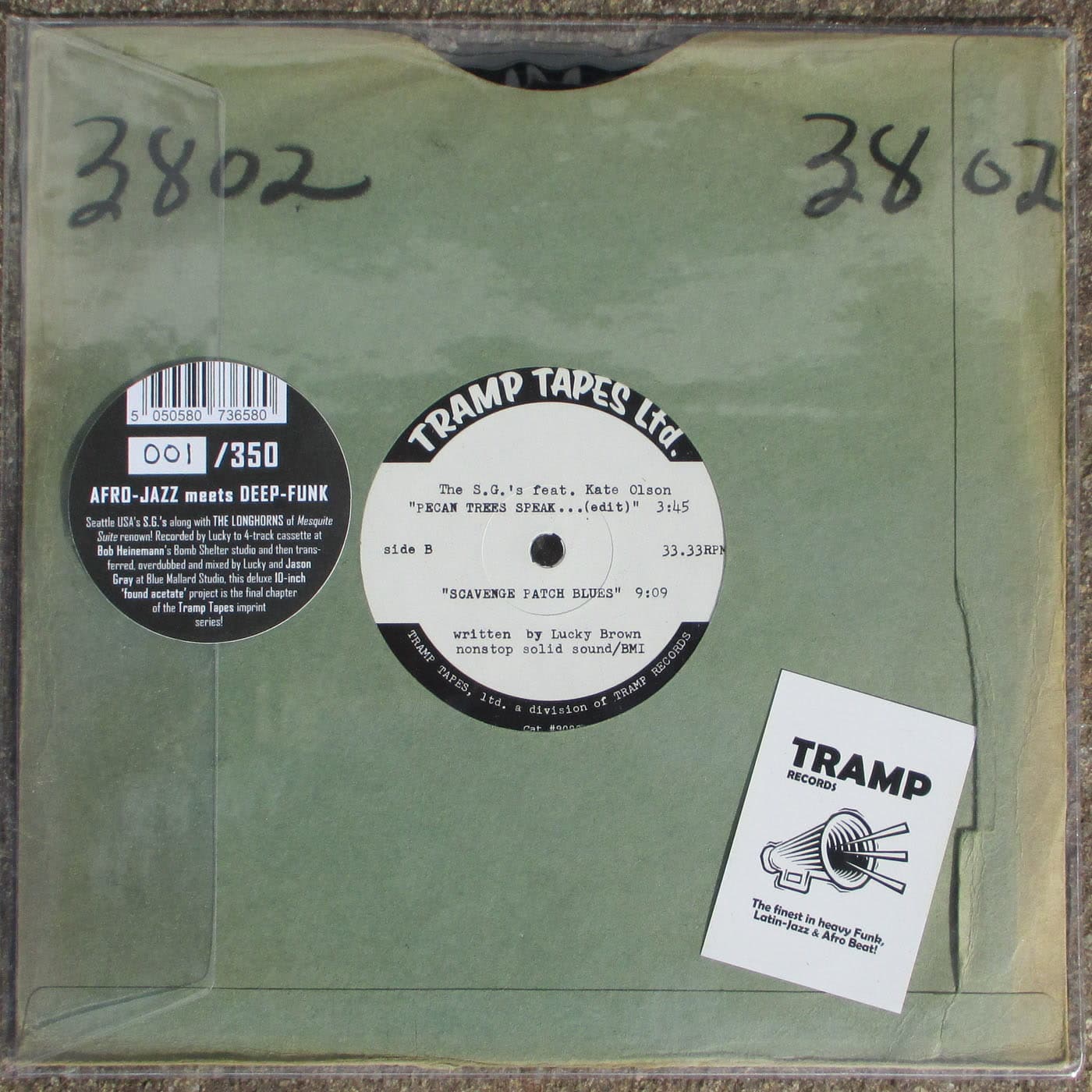 Pecan Trees Speak To Each Other