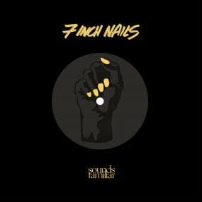 7 Inch Nails (03)