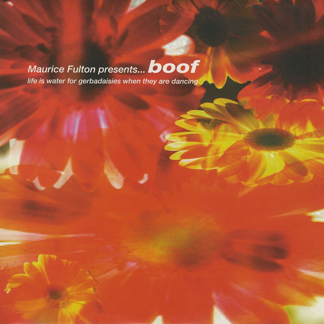 Life Is Water For Gerbadaisies When They Are Dancing