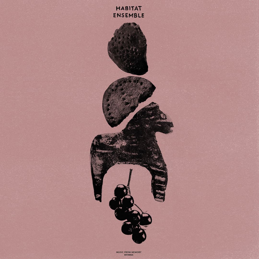 The Habitat Ensemble - The Habitat Ensemble - lp