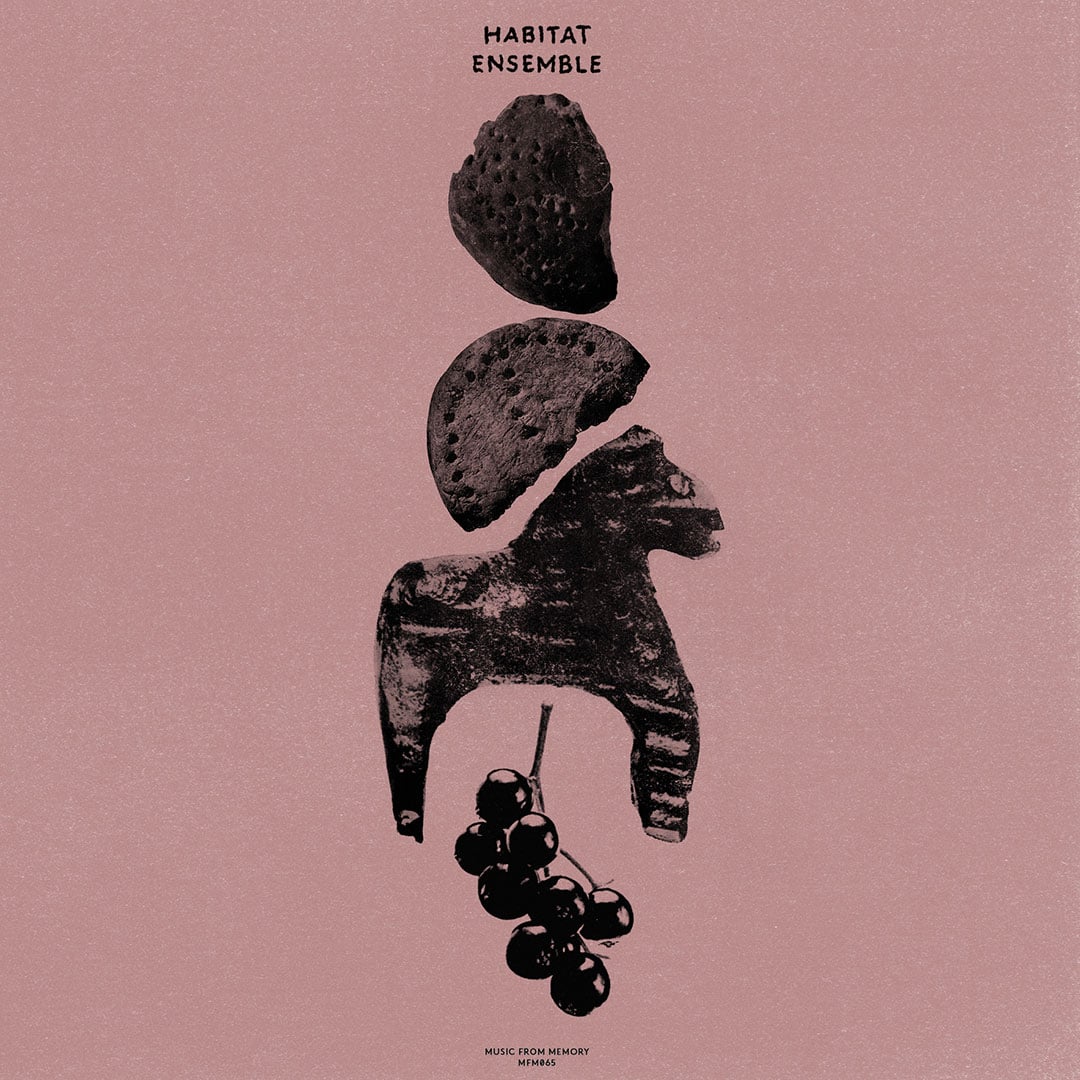 The Habitat Ensemble - The Habitat Ensemble - lp