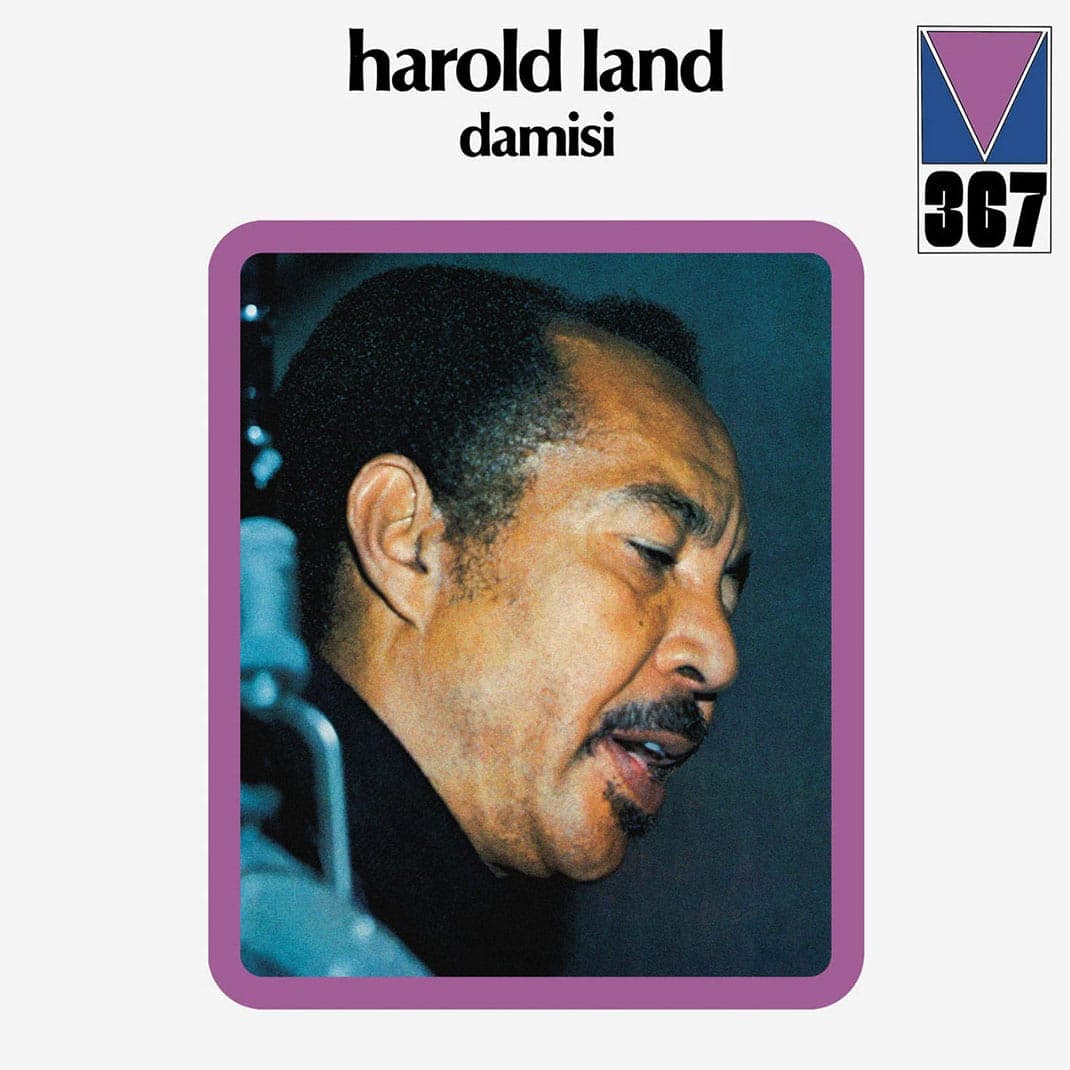 Damisi