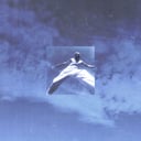 Born Without A Smile