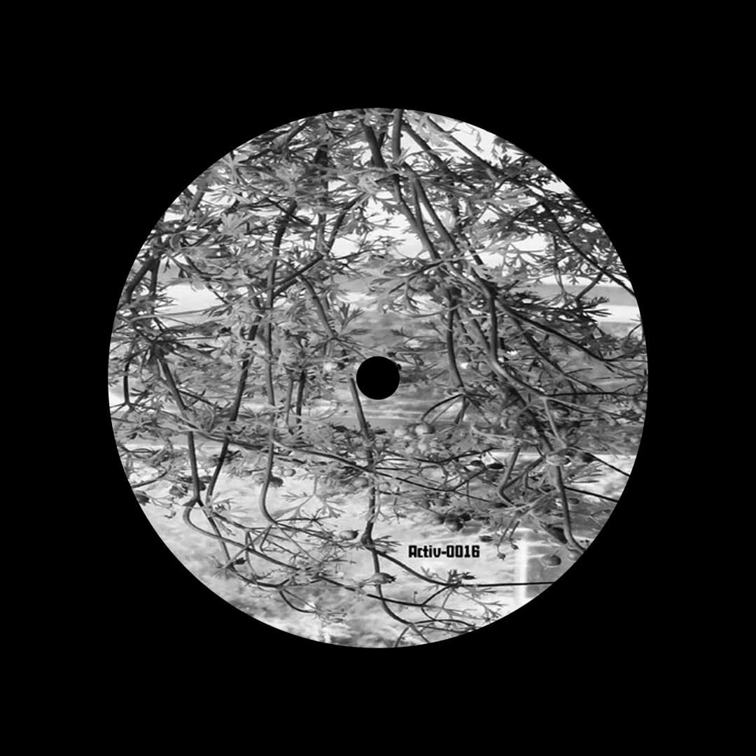 Lunar Garden