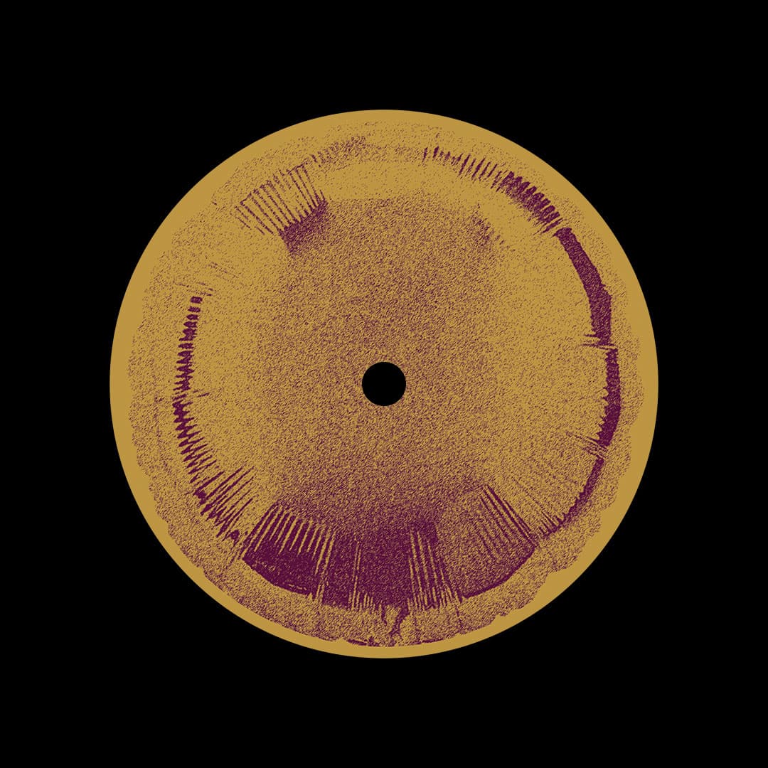 ZIEMIA003