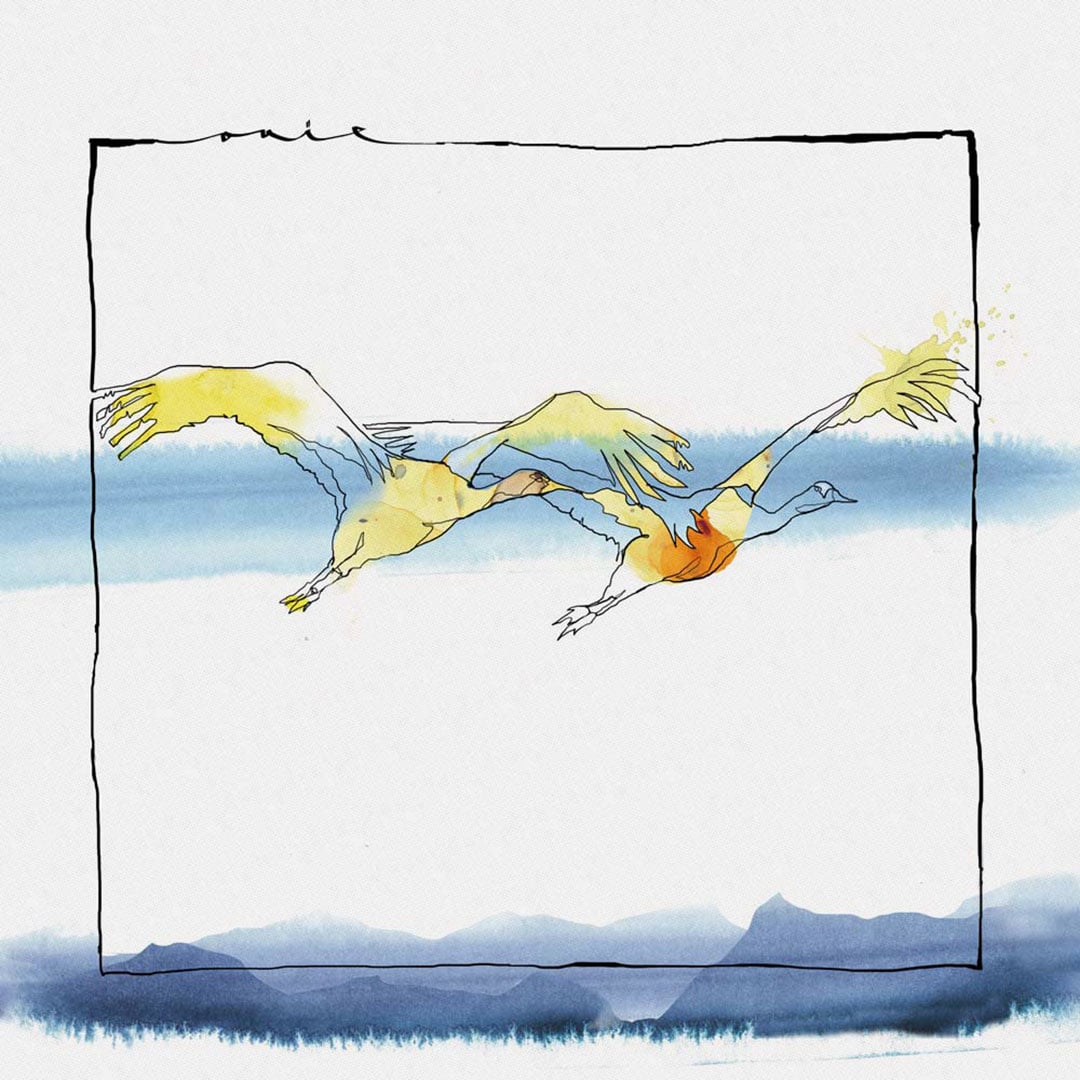 Acid Paul, Nico Stojan - Vola - 12