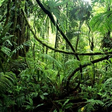 I Think It’s Something I Feel