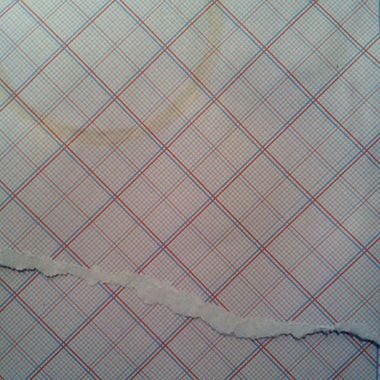 Said the Alligator to the Butterfly