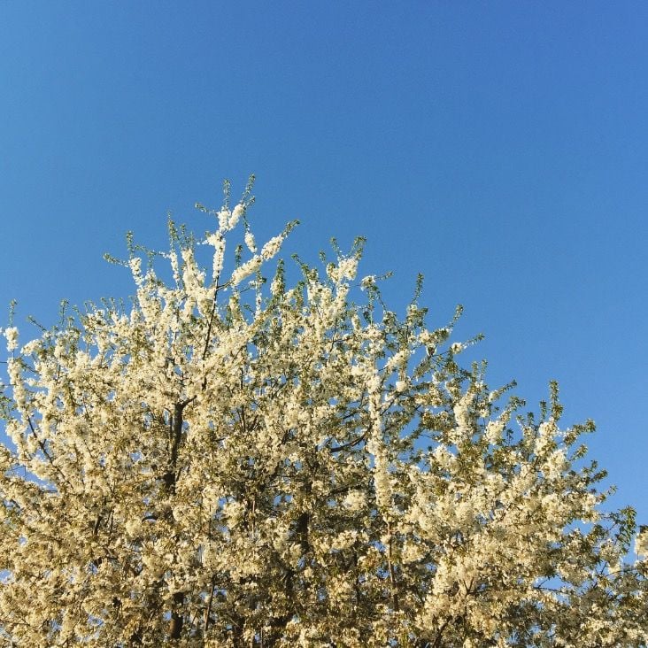 Should Be In The Sky With Diamonds