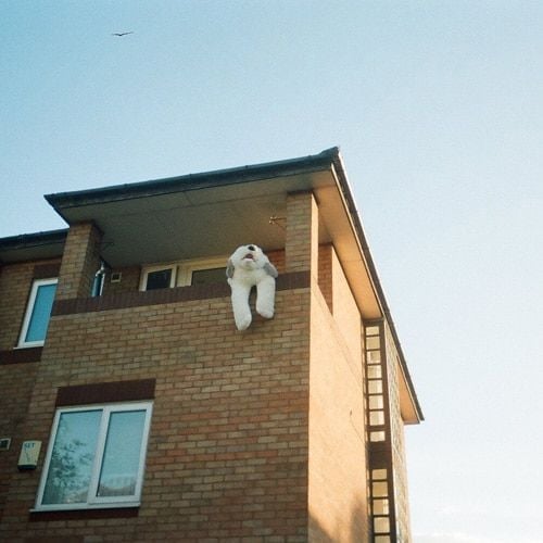 Travel To A Place Sweeter Than Home