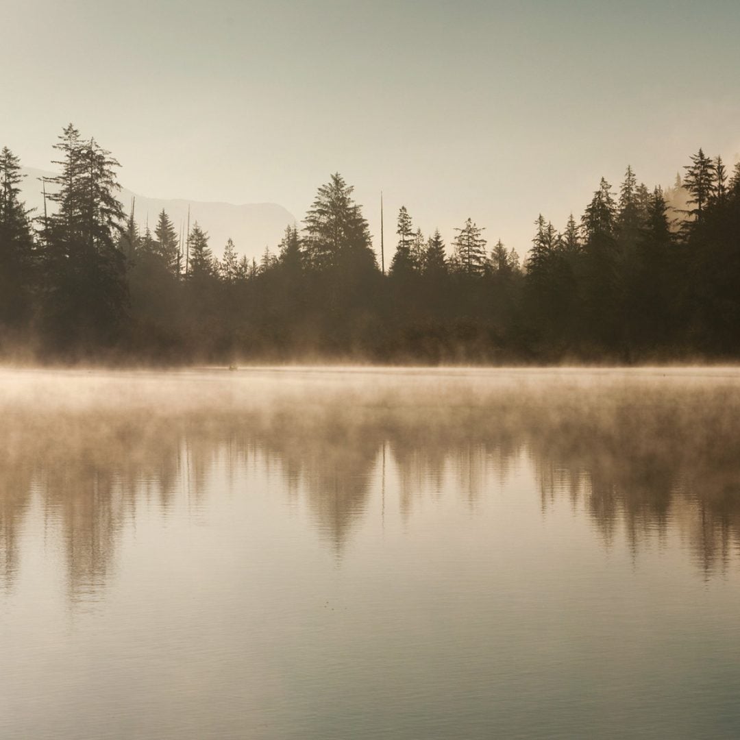 Purl - Deep Ground - 3xlp