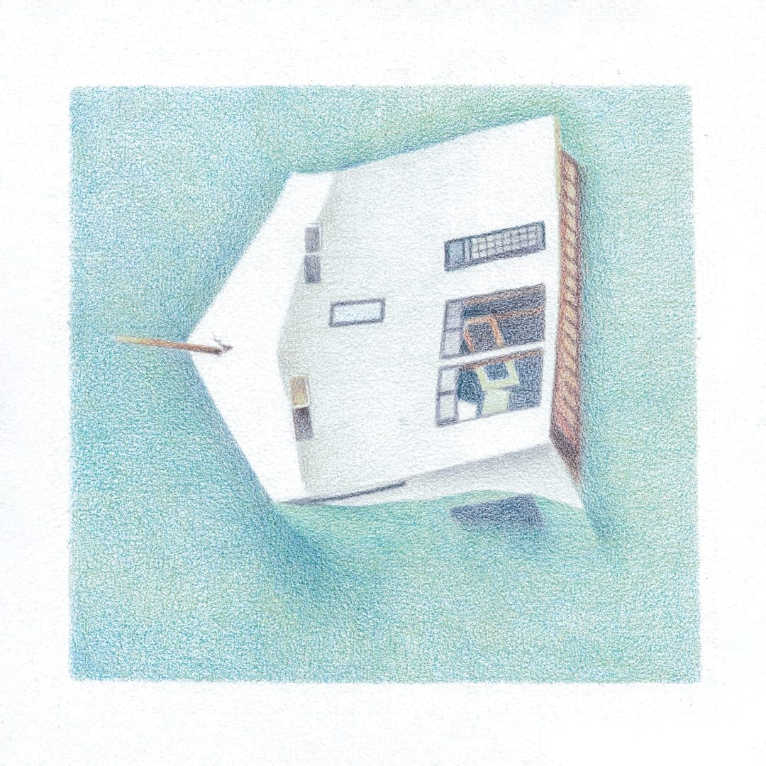Danny Scott Lane - House Of Alice - lp