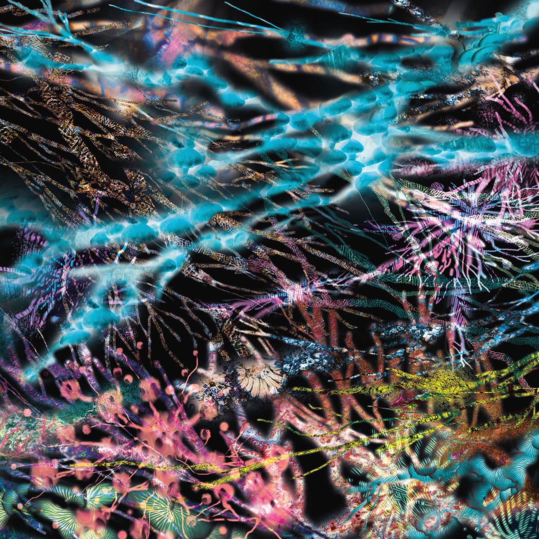 Likwid Continual Space Motion - The Remedy - 3xlp
